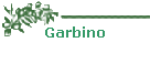 Garbino