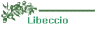 Libeccio