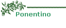 Ponentino