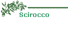 Scirocco